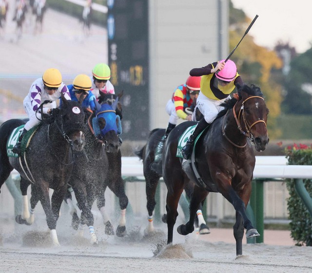 Luxor Cafe隨時在沙地盃開飯
