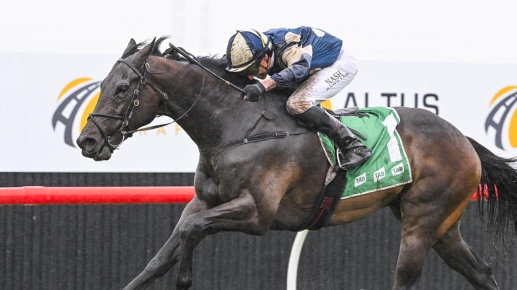 每日賽馬晚報（2025年11月22日），🇮🇪🇭🇰岳伯仁可能追加兩駒參加國際賽，🇦🇺巫師銀行守內欄再贏The Gong錦標