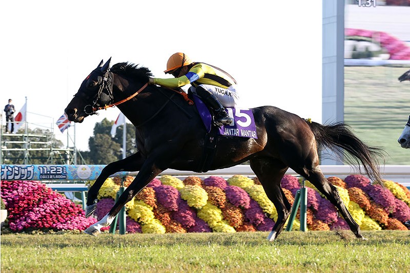 一哩冠軍賽，遠觀天象完全稱霸日本一哩大賽