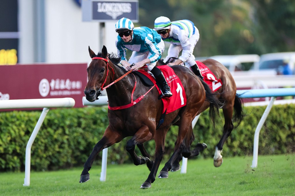 馬會盃，浪漫勇士復出正好，完美擊敗遨遊氣泡