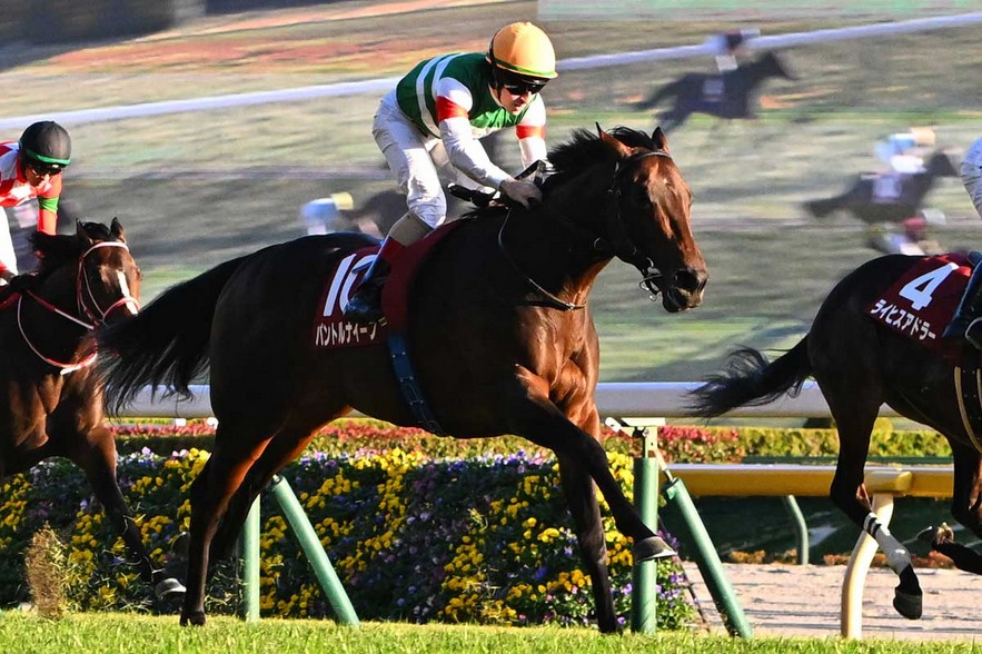 每日賽馬晚報(2025年11月24日),🇭🇰金鎗六十新版公仔開售,🇯🇵Peintre Naif取下東京體育兩歲馬錦標