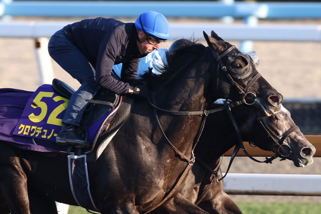 2025年11月30日賽馬日（10場田草泥地混合）+日本盃轉播賽推介