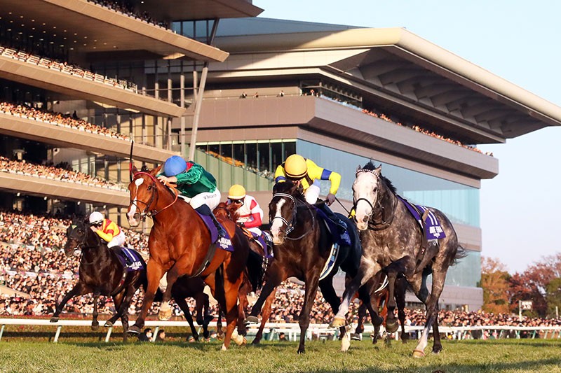 日本盃，格倫島破20年外隊馬不勝之咒