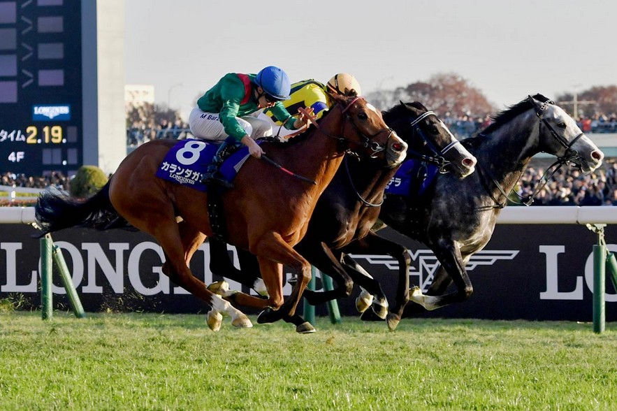 格倫島日本盃暫評為130分