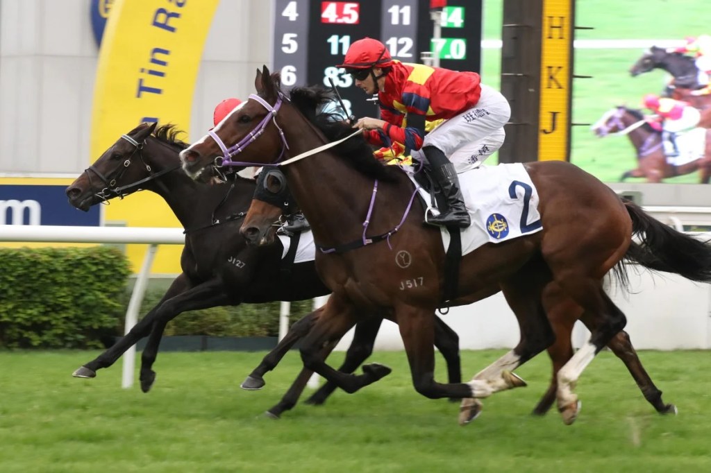 2026年1月14日賽馬日（9場谷草、B跑道）