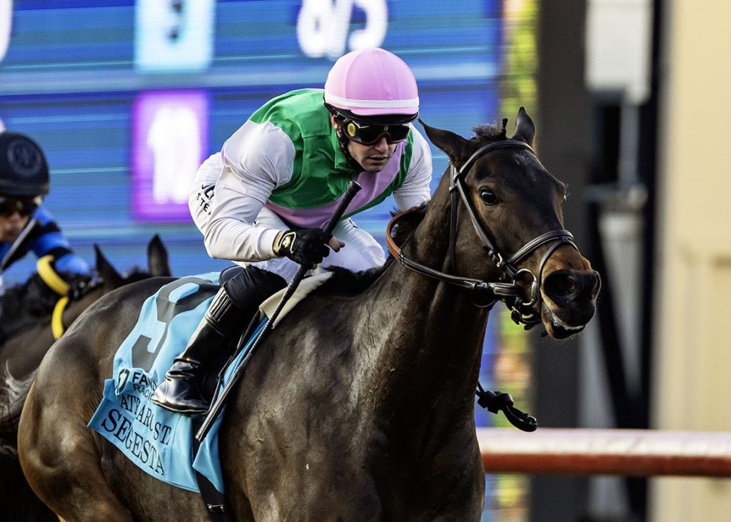 每日賽馬晚報（2025年12月1日），🇬🇧🇭🇰譽滿杜拜退出香港瓶，🇺🇸朱德望姊弟同贏德爾馬草地一級賽