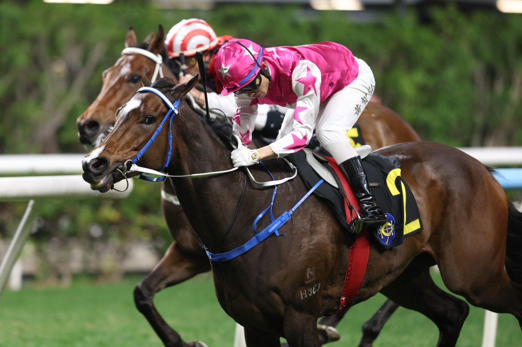 每日賽馬晚報（2025年12月4日），🇭🇰四班馬口爆滿四組谷草1200米未滿足馬主，🇯🇵春秋分銅像於北國優駿公園除幕