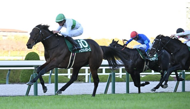 鳴尾紀念賽， David Barows發揮真實力