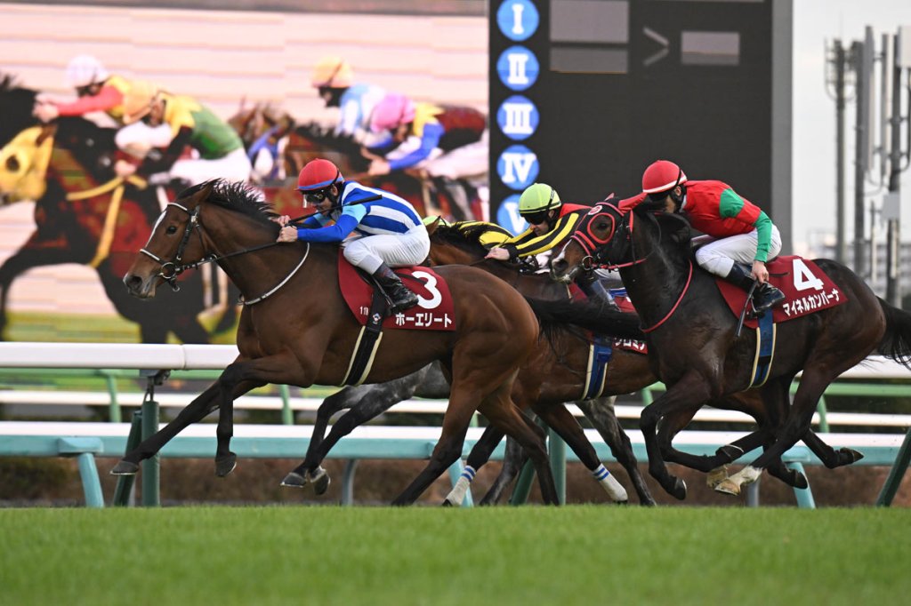 長途馬錦標，贊詠為雌馬打破缺口