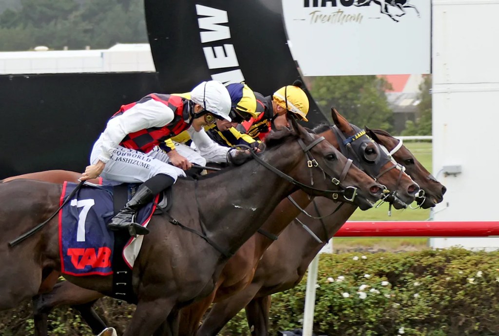 每日賽馬晚報（2025年12月7日），🇳🇿花田名區險勝獅子之王經典賽，🇺🇸Bishops Bay贏二級賽挑戰沙地盃