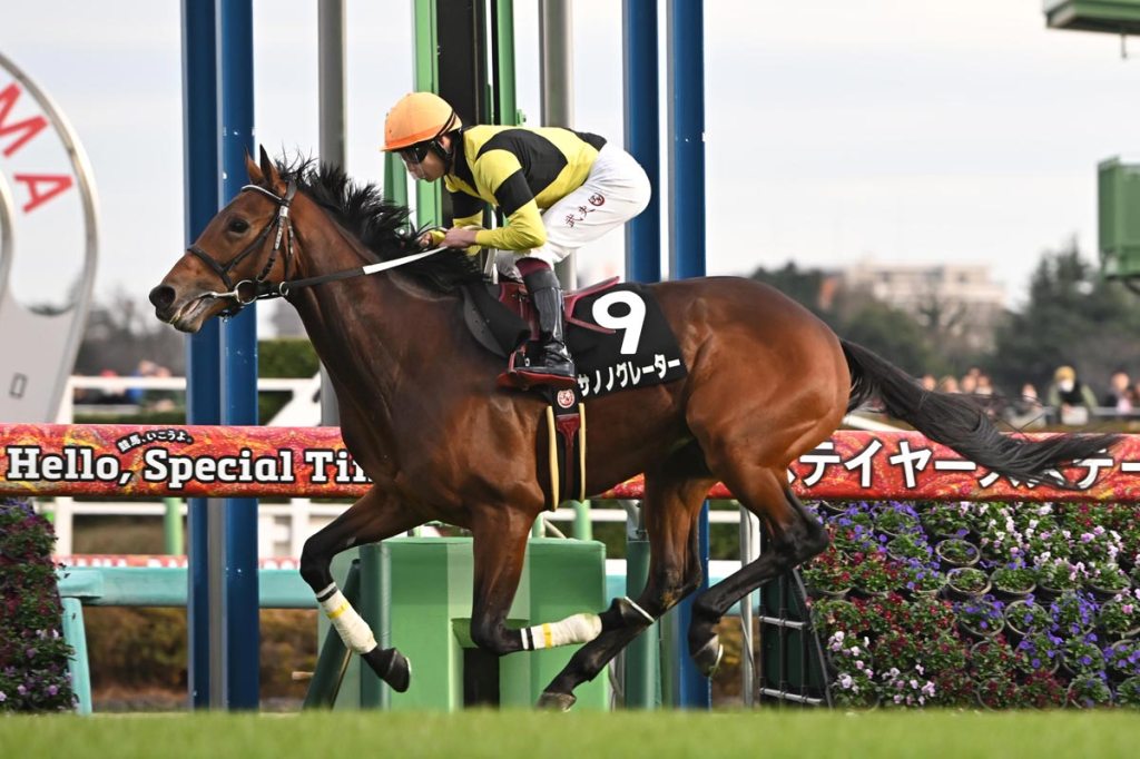 每日賽馬晚報（2025年12月6日），🇯🇵野田猛鯨終退下來，🇮🇪南加名城留在古摩亞做種馬