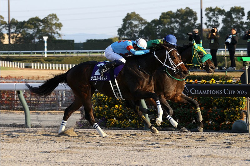 冠軍盃，W Heart Bond力措盈寶威神
