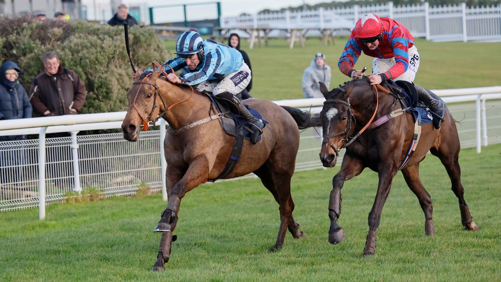 每日賽馬晚報（2025年12月11日），🇺🇸PETA用賽馬娘進行反宣傳，🇯🇵和田龍二及藤岡佑介考慮及格