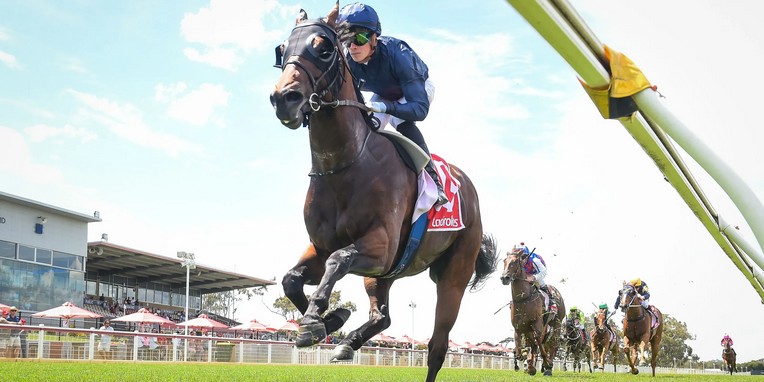 每日賽馬晚報（2025年12月12日），🇯🇵全球版賽馬娘奪遊戲大獎，🇯🇵蕾麗宮成有馬紀念賽票王