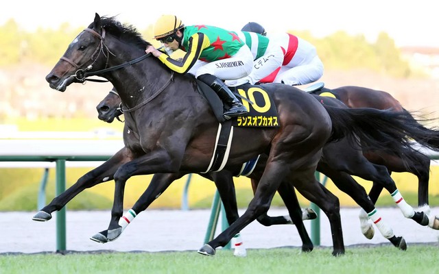 每日賽馬晚報（2025年12月13日），🇭🇰和平波補上香港一哩錦標，🇦🇺Yorkshire取下唐加士打一哩賽資格