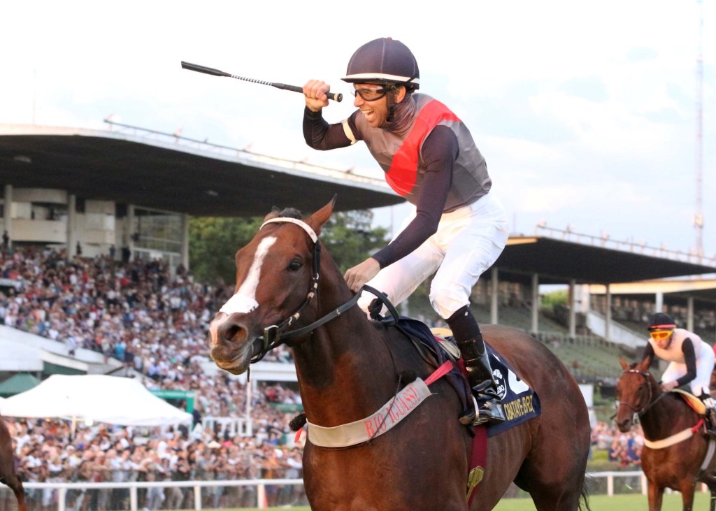 Cygames贊助拉丁美洲大賽