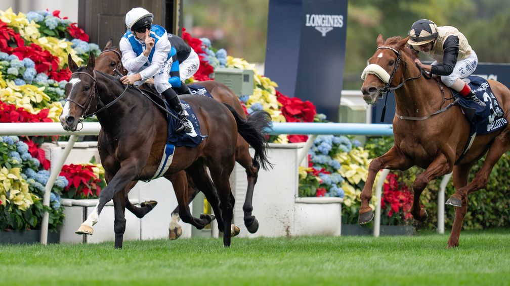 香港瓶冠軍同工之妙征戰女皇盃