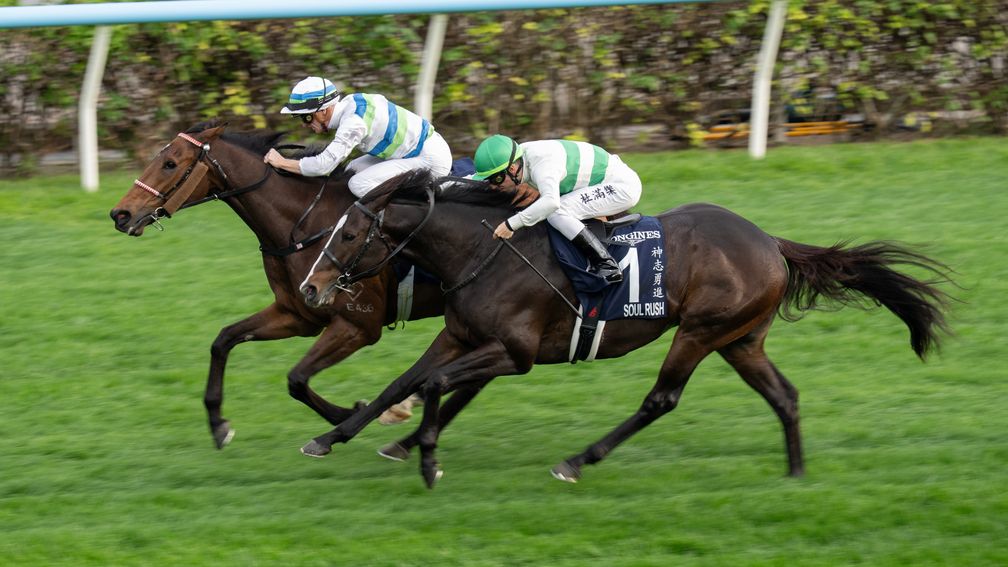 遨遊氣泡有一位日本人馬主團體成員