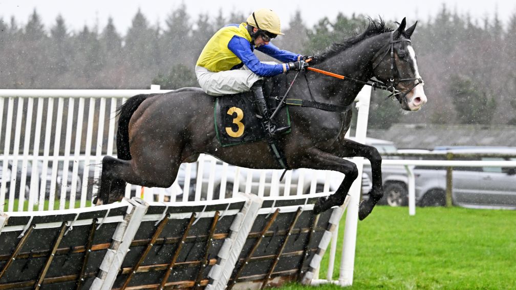 每日賽馬晚報（2025年12月19日），🇯🇵Full Stride2026年第一季發售，🇭🇰遨遊氣泡再以三冠為目標