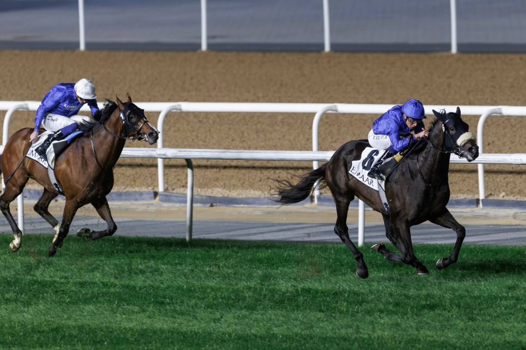 杜拜世界盃嘉年華節慶賽馬日，Opera Ballo成高多芬新主力