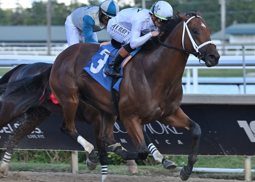 每日賽馬晚報（2025年12月21日），🇫🇷健身心或繼續現役，🇺🇸Tappan Street復出贏馬