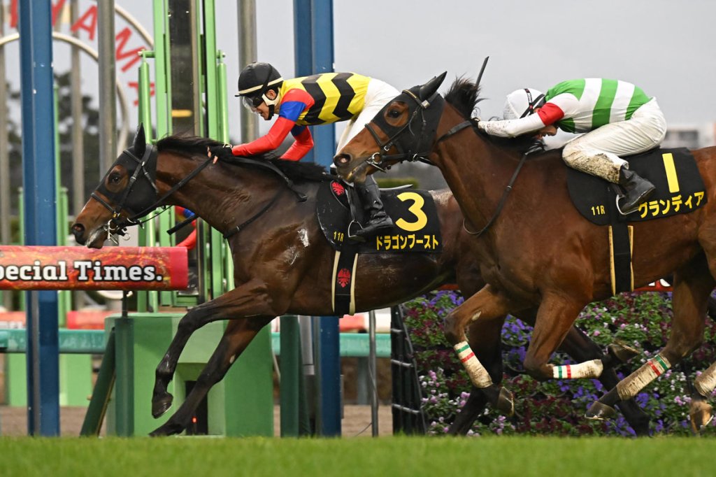 每日賽馬晚報（2025年12月22日），🇬🇧華麗樂章練馬師談及杜何斯特錦標敗因，🇯🇵沖天龍跑表列賽立即復活