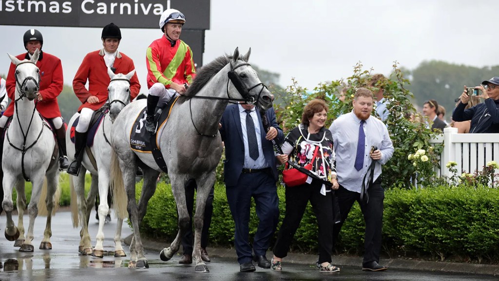 每日賽馬晚報(2025年12月26日),🇭🇰有目共賞突然倒下,🇳🇿御獵林區征戰紐西蘭成功