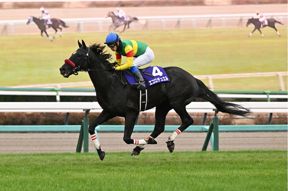 中山大障礙，Ecoro Duel稱霸春秋