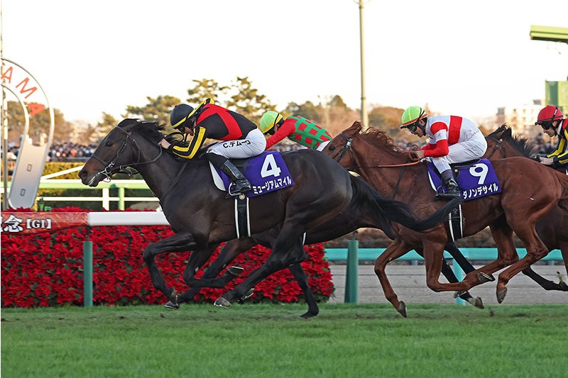 有馬紀念賽,博物街遠身而過