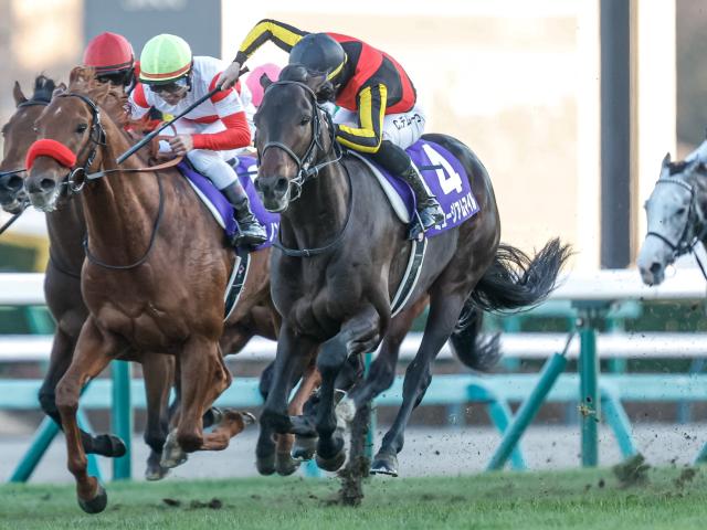 仍有12匹關西栗東訓練中心馬匹準備出發參加杜拜世界盃