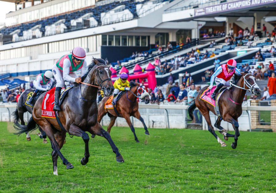 2026年1月31日大都會錦標賽馬日推介