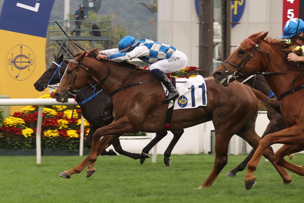 華商會挑戰盃，風雲武士再度輕磅出擊