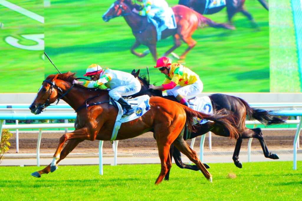 每日賽馬晚報（2026年1月13日），🇬🇧Harry Cobden將為大馬主效力，🇭🇰潘頓已選睿盛人生