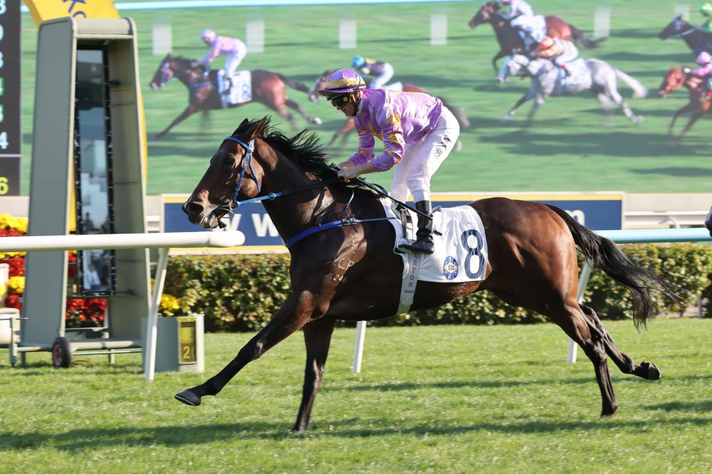 小鳥天堂可否登頂