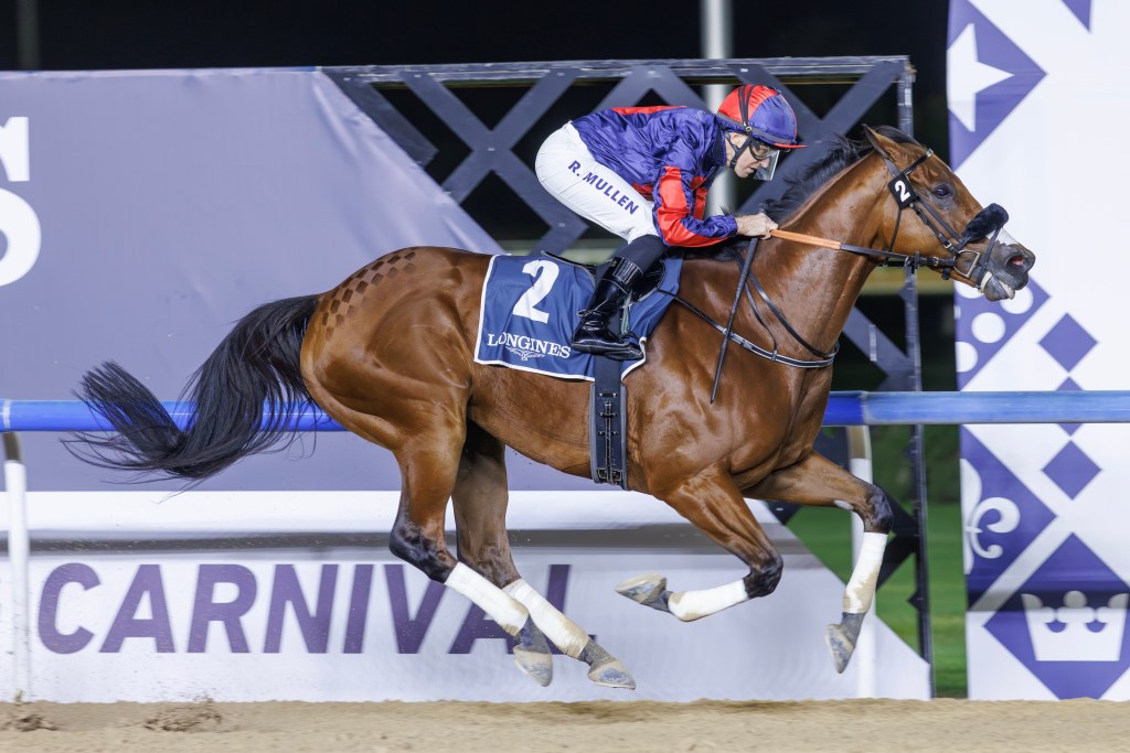 杜拜世界盃嘉年華泥地賽,短途賽足真金,帝權在手稱霸麥通系列賽