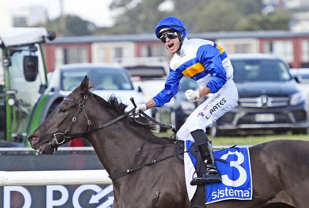 每日賽馬晚報(2026年1月24日),🇦🇪盛威美丹取下兩年多首勝,🇳🇿拼圖成功解開一級賽之謎