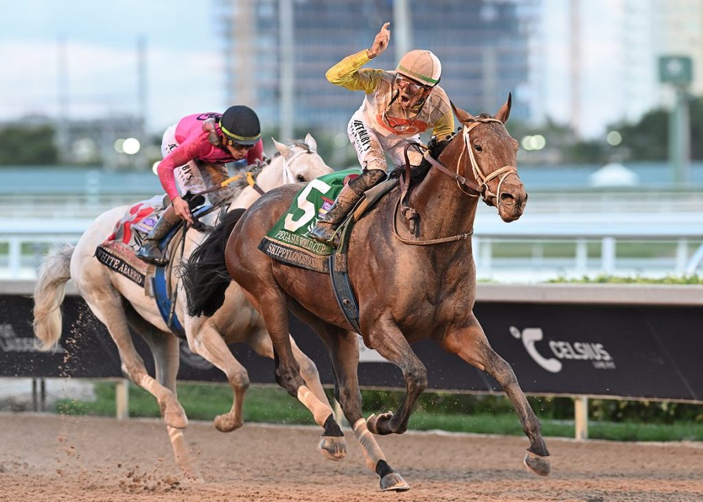 飛馬世界盃,Skippylongstocking四度嘗試成功