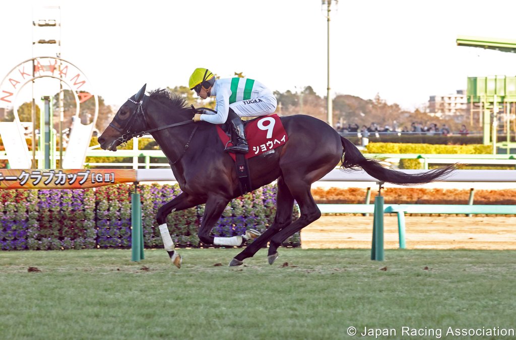 美國賽馬會盃,投擊俱佳不再暴投