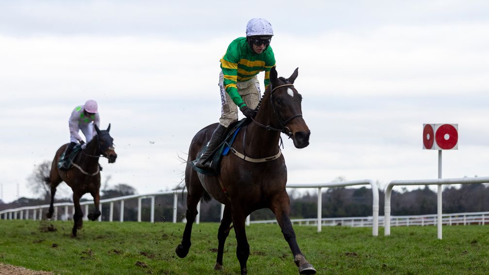 每日賽馬晚報（2026年2月3日），🇯🇵上蒼賜福集中火力於一哩賽，🇮🇪Fact to File愛爾蘭金盃大勝而回