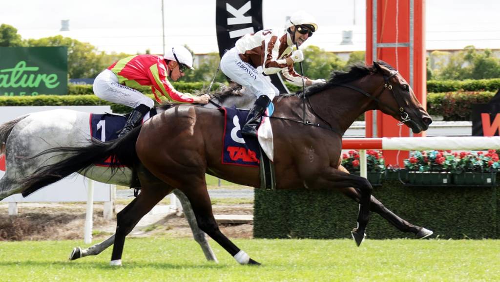 每日賽馬晚報（2026年2月7日），🇳🇿寶遜靈機一到贏100場一級賽，🇦🇺高多芬出擊動心及觀察家即贏三級賽