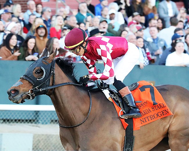 每日賽馬晚報（2026年2月8日），🇦🇺布浩榮接騎勁力猛擊，🇺🇸Nitrogen復出即贏馬