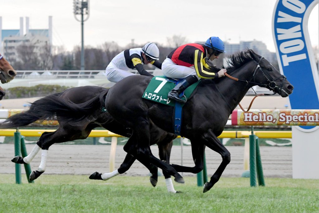 每日賽馬晚報（2026年2月10日），🇦🇺既成事實子嗣成澳洲拍賣會焦點，🇯🇵詩遊歌子勝出東京新聞盃