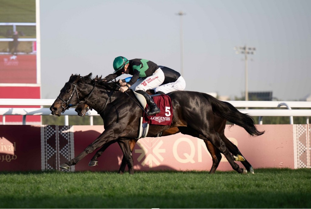 酋長錦標,大怪奇擊敗巨人