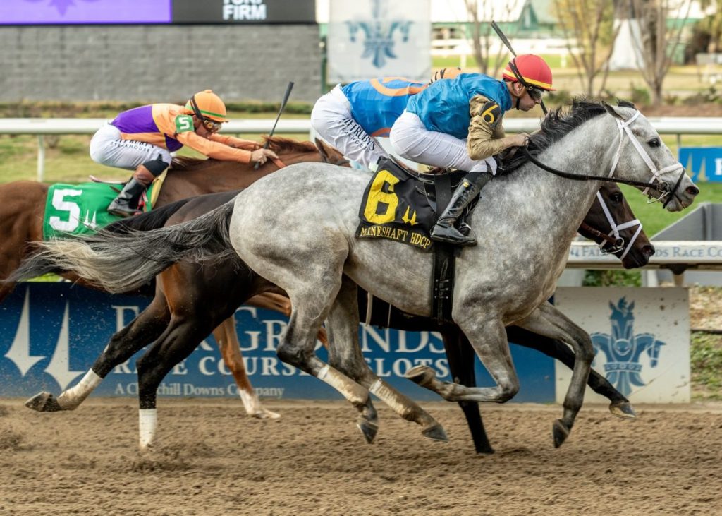 每日賽馬晚報（2026年2月15日），🇬🇧Constitution Hill平地處子戰只列第二後備，🇺🇸🇦🇪大熱劇目贏三級賽有意在戰杜拜世界盃