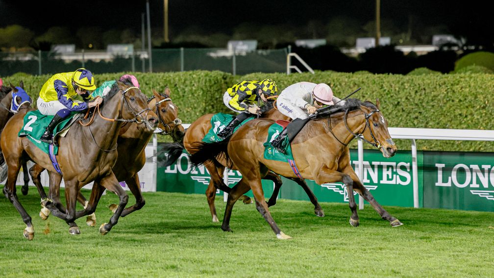 沙地盃賽事草地賽大戰，寶礁快艇為美國馬草地賽開齋，岳家還有副車成名作