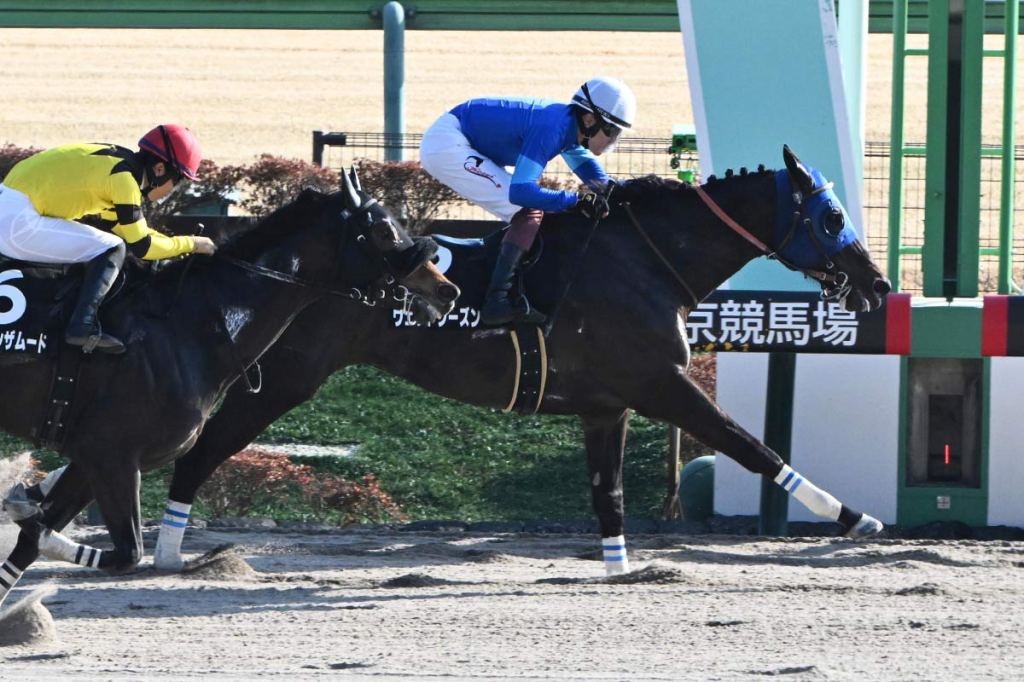 每日賽馬晚報(2026年2月16日),🇺🇸管治權4至5月復出,🇺🇸Paladin確定出線肯塔基打吡