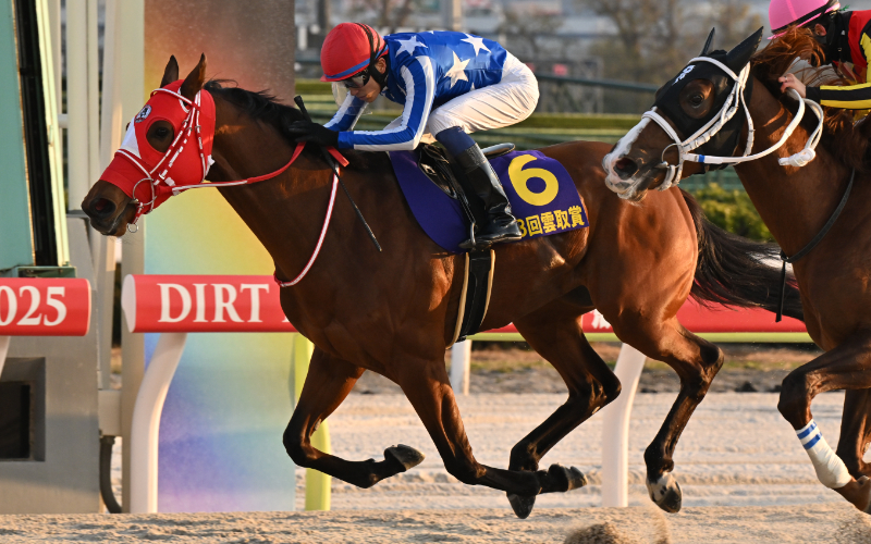 每日賽馬晚報（2026年2月18日），🇬🇧I Am Maximus英國障礙大賽負最重磅，🇯🇵「礦系」Ruffian放棄經營一口馬主