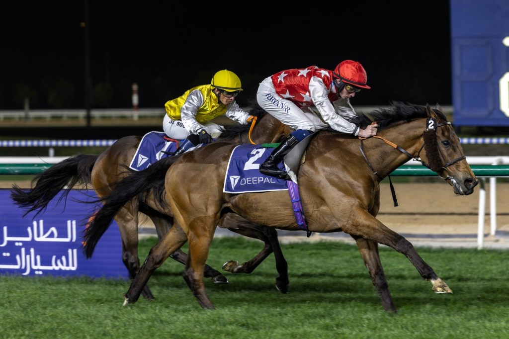 詩栢錦標，亮采更比盛威