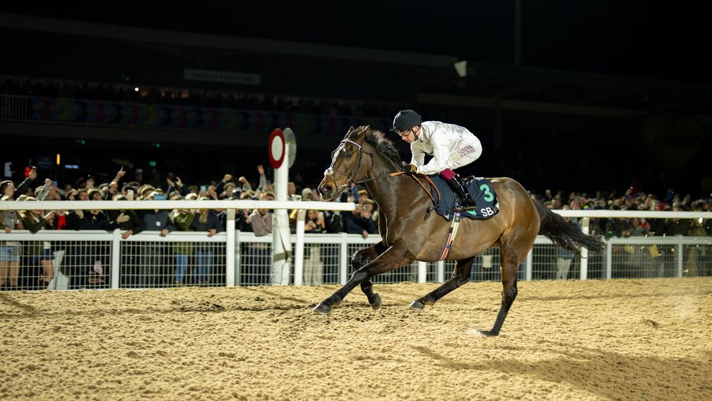 每日賽馬晚報（2026年2月21日），🇬🇧Constitution Hill平地賽輕鬆大勝，🇳🇿Ohope Wins輕取紐西蘭橡樹大賽