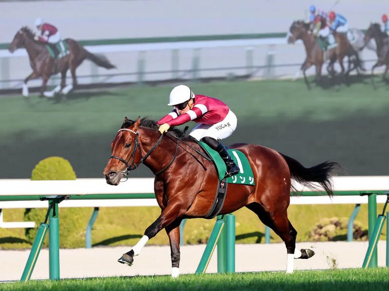 阪急盃,Sonshi風林火山